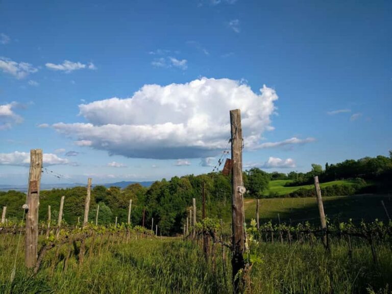 MONTEPULCIANO TASTE OF TUSCANY HEROIC WINES, CRU&LIMITED ED. - An In-Depth Look at the Montepulciano Heroic Wines Tour