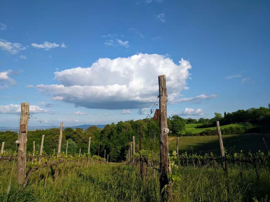 MONTEPULCIANO TASTE OF TUSCANY HEROIC WINES, CRU&LIMITED ED. - An In-Depth Look at the Montepulciano Heroic Wines Tour