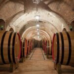 Montepulciano: Wine Tasting & Lunch in a Typical Winery - Exploring the Experience in Detail