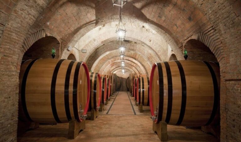 Montepulciano: Wine Tasting & Lunch in a Typical Winery - Exploring the Experience in Detail