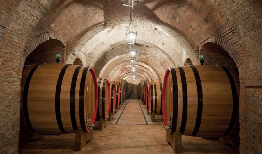Montepulciano: Wine Tasting & Lunch in a Typical Winery - Exploring the Experience in Detail