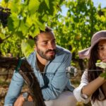 Montepulciano: Wine Tasting with typical Tuscan Cold Cuts - The Setting and the Tour