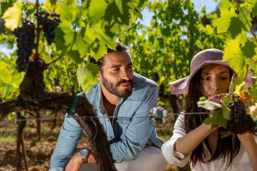Montepulciano: Wine Tasting with typical Tuscan Cold Cuts - The Setting and the Tour