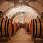 Montepulciano: Winery Tour & Tasting Experience - The Sum Up