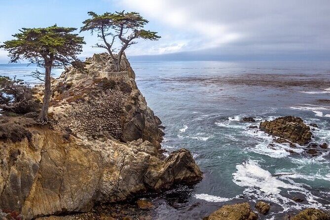 Monterey, Carmel, 17 Mile Drive, Bixby Bridge 5 hrs from Monterey - Final Thoughts: Is This Tour for You?