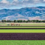 Monterey County Salinas Valley Farm Tour - A Deep Dive into the Monterey County Salinas Valley Farm Tour