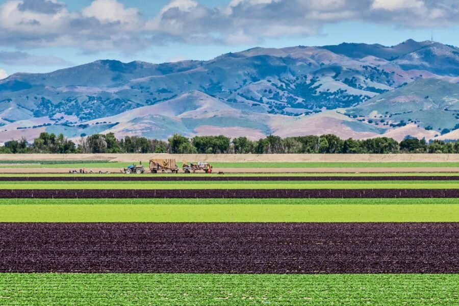 Monterey County Salinas Valley Farm Tour - A Deep Dive into the Monterey County Salinas Valley Farm Tour