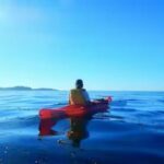 Monterey: Pebble Beach Kayak Tour - An In-Depth Look at the Monterey Pebble Beach Kayak Tour