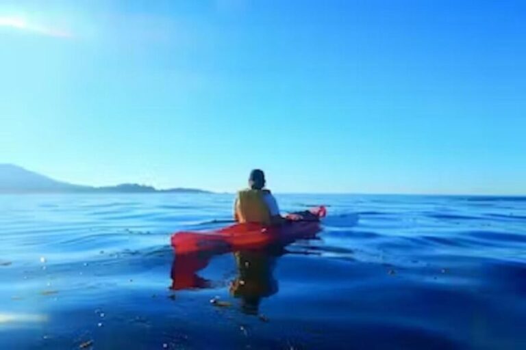 Monterey: Pebble Beach Kayak Tour - An In-Depth Look at the Monterey Pebble Beach Kayak Tour
