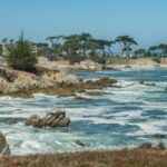 Monterey Peninsula Sightseeing Tour including 17 Mile Drive - Final Thoughts