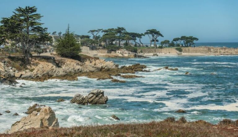 Monterey Peninsula Sightseeing Tour including 17 Mile Drive - Final Thoughts