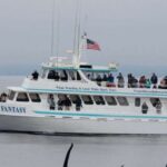Monterey: Whale Watching Cruise - Who Should Consider This Tour?