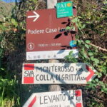 Monterosso Hiking Tour: Discover the Best Trails of 5 Terre - The Practical Details and What You’ll Experience