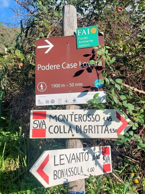 Monterosso Hiking Tour: Discover the Best Trails of 5 Terre - The Practical Details and What You’ll Experience