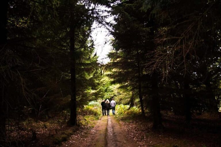 Monthermé: wild hike along the Meuse crests and its viewpoints - What to Expect