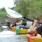 Montpellier : Birdwatching by kayak in Camargue - Who Should Consider This Tour?