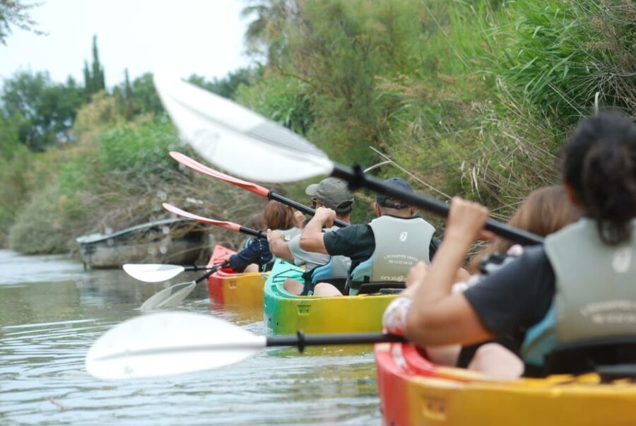 Montpellier : Birdwatching by kayak in Camargue - Who Should Consider This Tour?