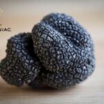 Montpellier: Full day Truffles and Chateauneuf-du-Pape Wines - Practical Tips for Making the Most of Your Day