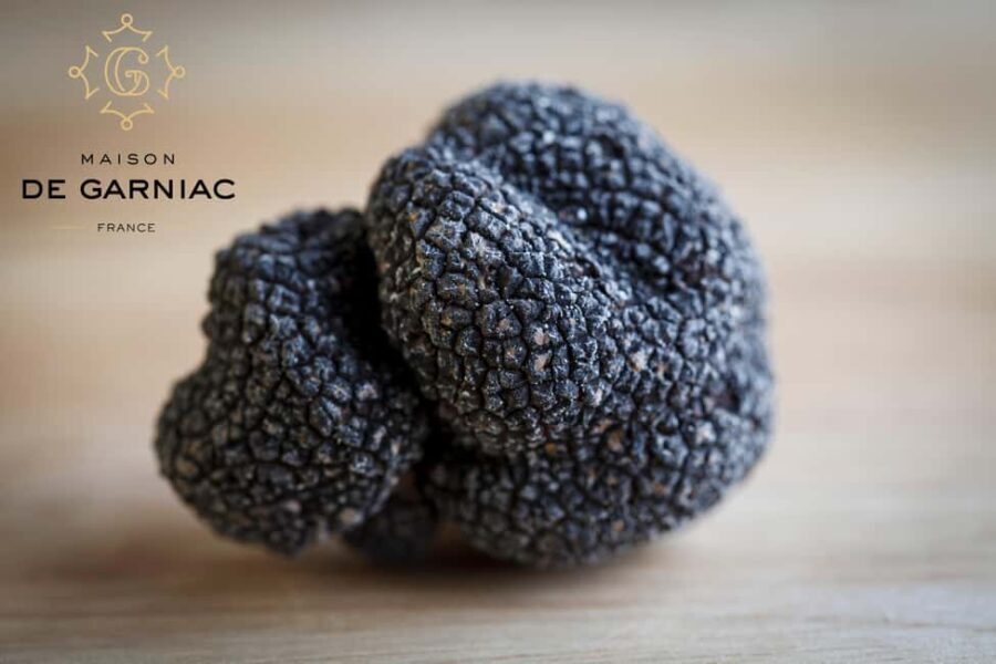 Montpellier: Full day Truffles and Chateauneuf-du-Pape Wines - Practical Tips for Making the Most of Your Day