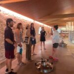 Montpellier : Wine Tour Pic St Loup - Exploring the Tour Itinerary in Detail