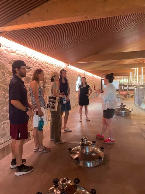 Montpellier : Wine Tour Pic St Loup - Exploring the Tour Itinerary in Detail