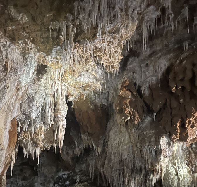 Montpellier:Half-Day Terrasses du Larzac Wine and grotto - A Closer Look at the Tour