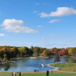 Montreal: Full-Day Small Group City Tour - Authentic Traveler Insights from Reviews