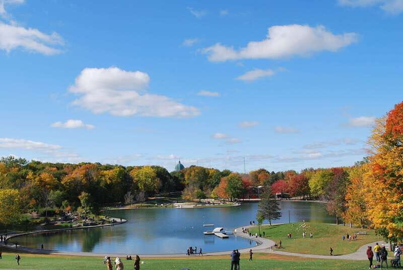 Montreal: Full-Day Small Group City Tour - Authentic Traveler Insights from Reviews