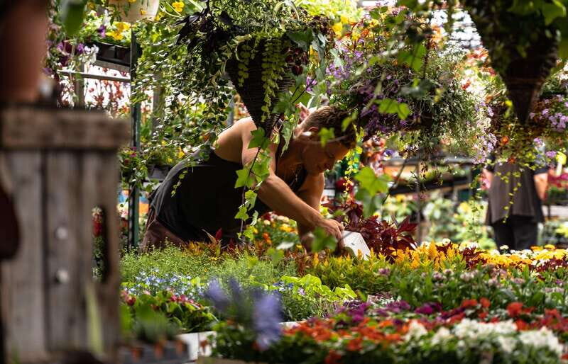 Montreal: Jean-Talon Market & Little Italy Highlights Tour - FAQs