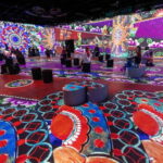 Montreal: OASIS Immersion Entry Ticket - Final Thoughts: Is It Worth Your Time?