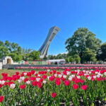 Montreal Private Walking Tour 2h Plus Video Experience 360° - What’s Included and Not