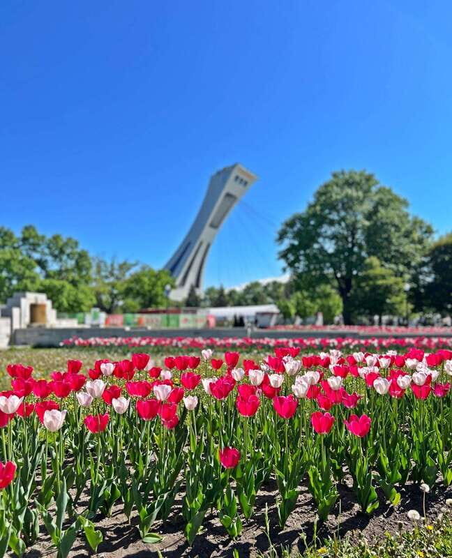 Montreal Private Walking Tour 2h Plus Video Experience 360° - What’s Included and Not