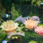 Montreal: Skip-the-line Biodome Private Tour with Tickets - An In-Depth Look at the Montreal Biodome Private Tour