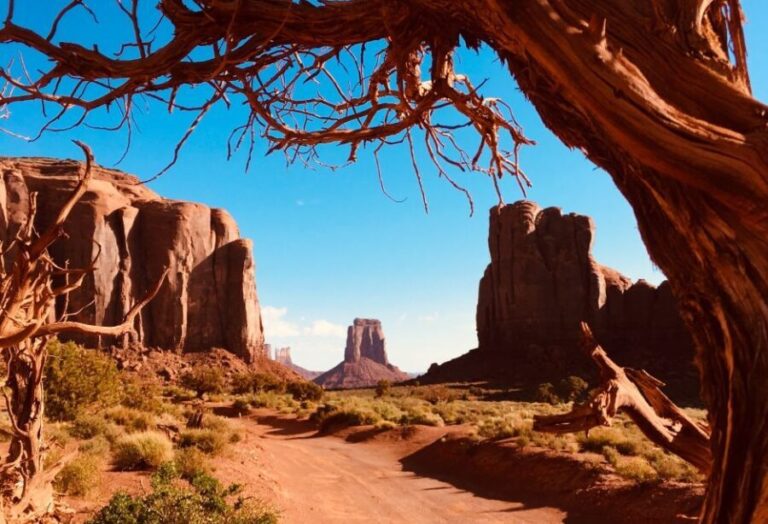 Monument Valley and Mystery Valley Full-Day Tour - A Deep Dive into the Experience
