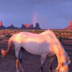 Monument Valley: Horseback Adventure Tour - The Sum Up