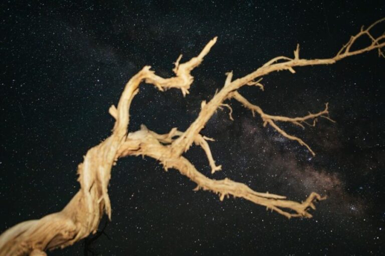 Monument Valley: Stargazing Tour - The Sum Up: Is the Monument Valley Stargazing Tour Worth It?