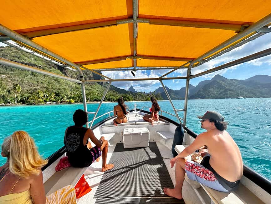 Moorea 4H Shared Boat Tour Whale Swimming and Snorkeling - FAQ