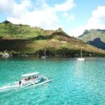 Moorea 6-Hour Snorkeling and Lunch Shared Tour - Exploring Moorea’s Lagoon: What to Expect