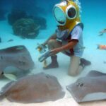 Moorea: Aquablue Helmet Underwater Walking Experience - Why Choose the Aquablue Helmet Underwater Walking Tour?