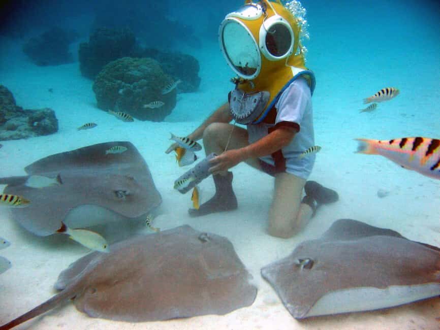 Moorea: Aquablue Helmet Underwater Walking Experience - Why Choose the Aquablue Helmet Underwater Walking Tour?