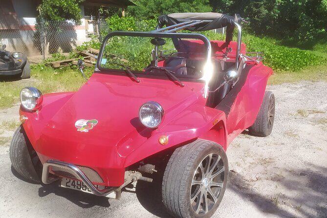 Moorea Buggy Rental - Final Thoughts