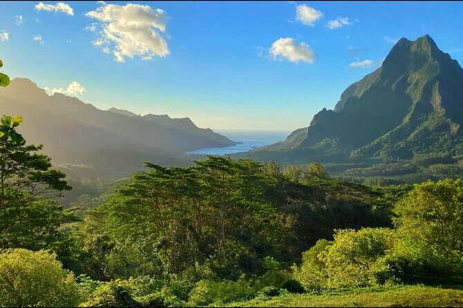Moorea Cruise Ships: 4x4, Belvedere,Magic Mountain pineaple - The Sum Up: Is This Tour Worth It?