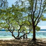 Moorea Highlights Private Tour: Natural and Cultural Attraction - Final Thoughts