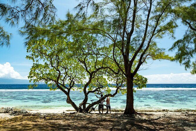 Moorea Highlights Private Tour: Natural and Cultural Attraction - Final Thoughts