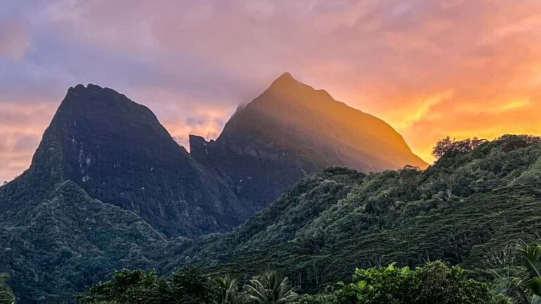 Moorea photographic excursion in private and adapted session - The Sum Up