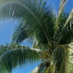 Moorea Private Full Day Tour - Frequently Asked Questions