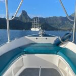 Moorea: Private Snorkeling Tour with Certify Guide - An In-Depth Look at the Moorea Snorkeling Experience