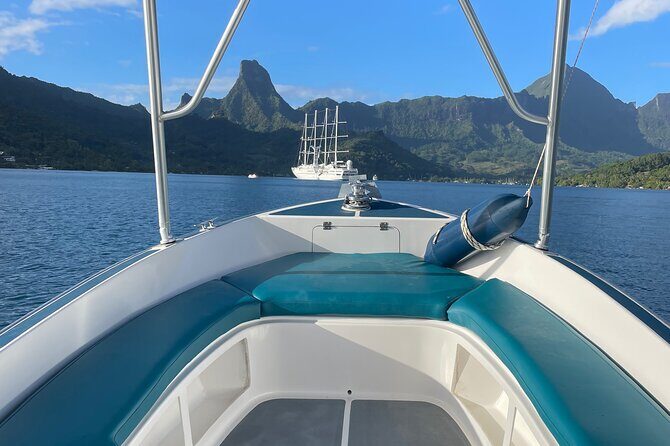 Moorea: Private Snorkeling Tour with Certify Guide - An In-Depth Look at the Moorea Snorkeling Experience