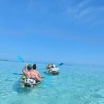 Moorea: Transparent Kayak Day Trip - Practical Details & What It Means for Your Trip
