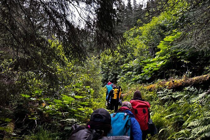 Moose Pass Hiking and Kayak Guided Tour Experience - The Value of the Moose Pass Kayak & Hike